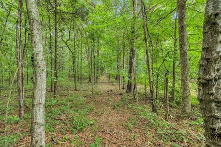 Land for sale in Dickson County, Tennessee