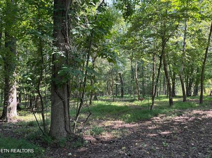 Land for sale in Roane County, Tennessee