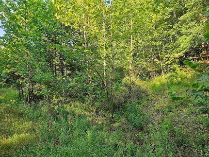 Land for sale in Monongalia County, West Virginia