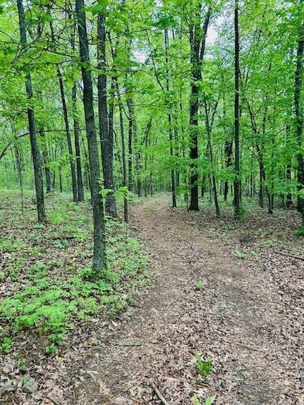 Land for sale in Madison County, Arkansas