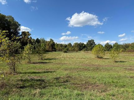 Homesite for sale in Van Buren County, Michigan