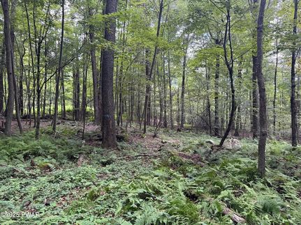 Homesite for sale in Wayne County, Pennsylvania