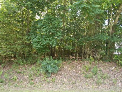 Undeveloped Land for sale in Benton County, Tennessee