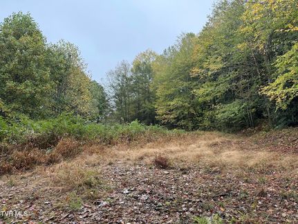 Land for sale in Carter County, Tennessee