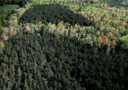 Land for sale in Randolph County, North Carolina