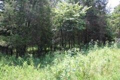 Land for sale in Pulaski County, Kentucky