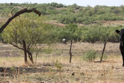 Land for sale in Knox County, Texas