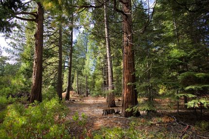 Land for sale in Shasta County, California