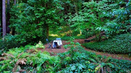 House for sale in Sonoma County, California