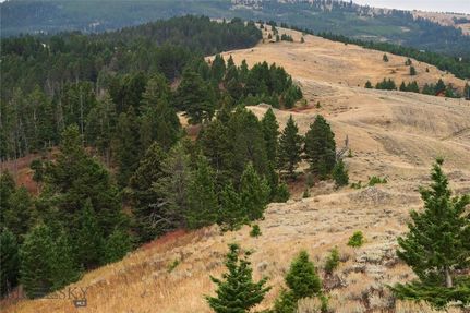 Land for sale in Park County, Montana