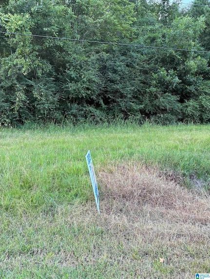 Land for sale in Etowah County, Alabama