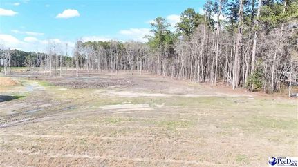 Land for sale in Florence County, South Carolina