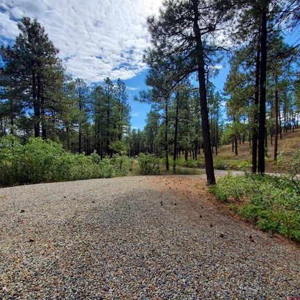 Land for sale in La Plata County, Colorado