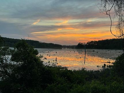 Homesite for sale in Walton County, Florida