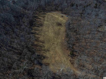 Land for sale in Trigg County, Kentucky