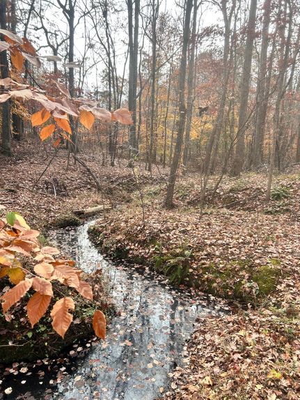 Land for sale in Laurens County, South Carolina