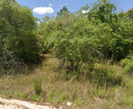 Land for sale in Putnam County, Florida