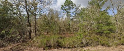 Land for sale in Putnam County, Florida