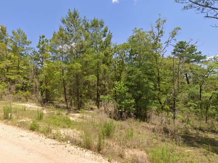 Undeveloped Land for sale in Putnam County, Florida