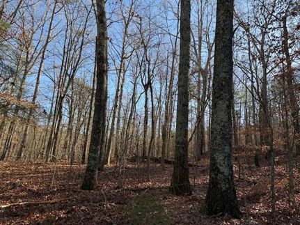 Land for sale in DeKalb County, Alabama