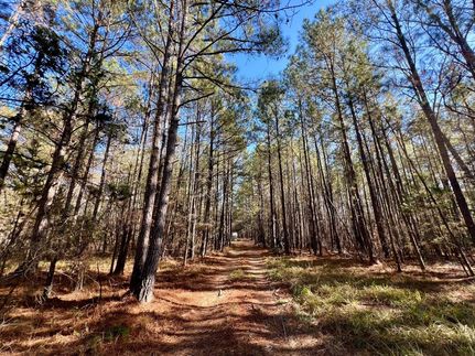 Land for sale in Taliaferro County, Georgia