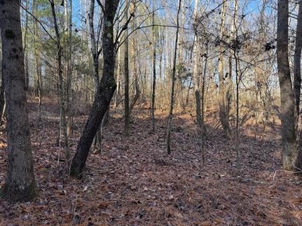 Land for sale in DeKalb County, Alabama