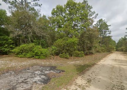 Land for sale in Putnam County, Florida