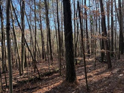 Land for sale in DeKalb County, Alabama