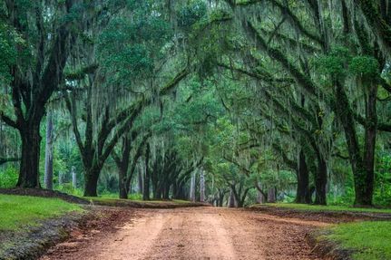 Farm and Ranch for sale in Jackson County, Florida