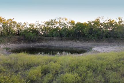 Land for sale in Runnels County, Texas