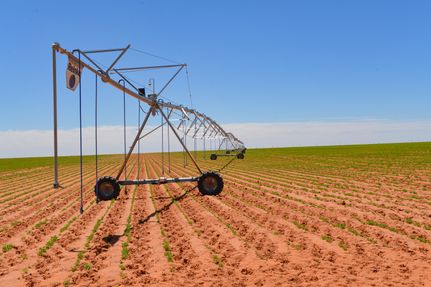 Land for sale in Cochran County, Texas