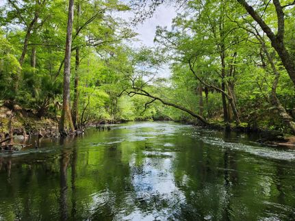 Land for sale in Madison County, Florida