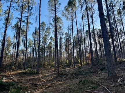 Land for sale in Franklin County, Mississippi