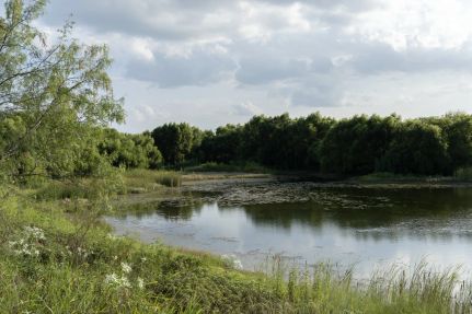 Land for sale in Johnson County, Texas