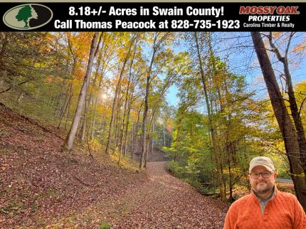 Land for sale in Swain County, North Carolina