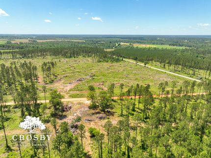 Horse Property for sale in Burke County, Georgia