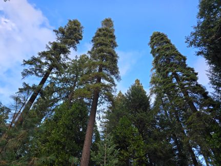 Land for sale in El Dorado County, California