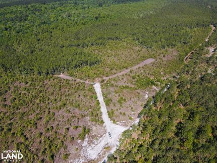 Hunting Property for sale in Bladen County, North Carolina