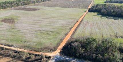 Land for sale in Monroe County, Alabama