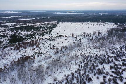 Land for sale in Wadena County, Minnesota