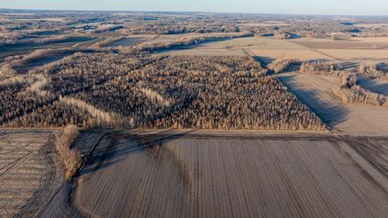 Land for sale in Fayette County, Illinois