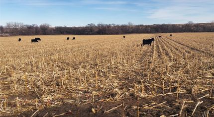 Land for sale in Franklin County, Nebraska