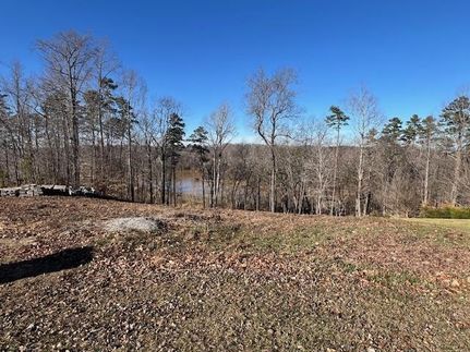 Land for sale in Danville City County, Virginia