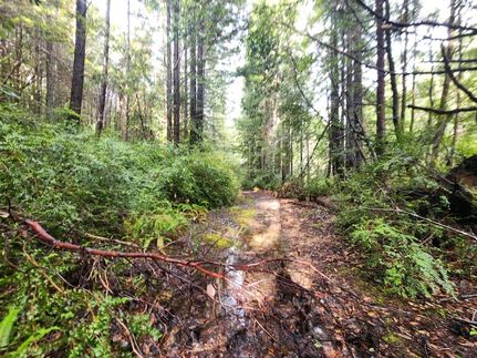 Land for sale in Mendocino County, California