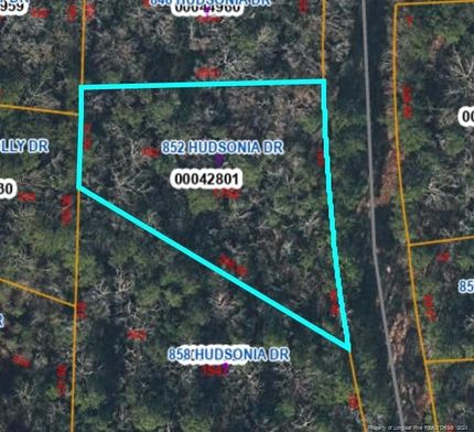 Land for sale in Moore County, North Carolina