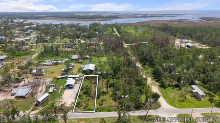 Undeveloped Land for sale in Taylor County, Florida