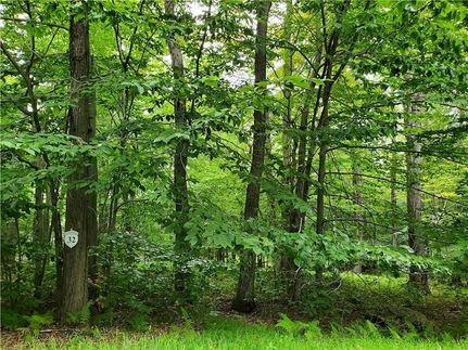 Homesite for sale in Monroe County, Pennsylvania