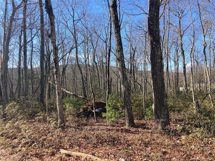 Land for sale in Sullivan County, New York