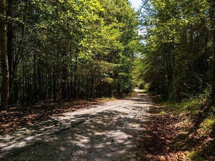Land for sale in Walker County, Alabama