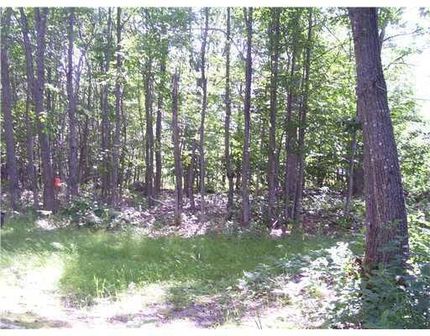 Land for sale in Piscataquis County, Maine